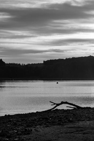 2019_10_26_Lac des Settons (0060).jpg - Au lac des Settons (Octobre 2019)